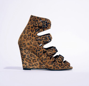 you may also like