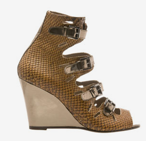 shoe