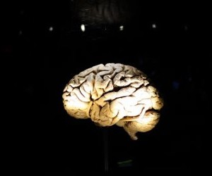 1543321_3_5ca0_des-scientifiques-de-l-universite-de-berkley