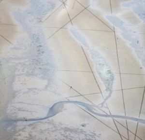 18_Biennale_3