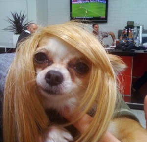 chichhair-375x500