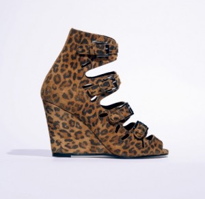 you may also like