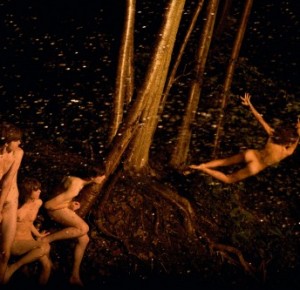 rm_midnight_flight-500x333