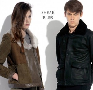 shearblissGOOD1-500x394