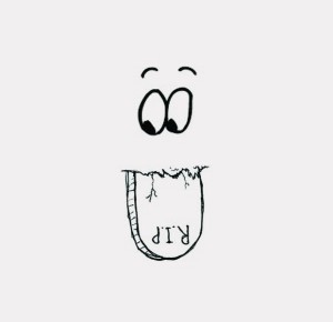 you may also like