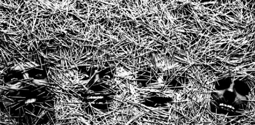 photo035