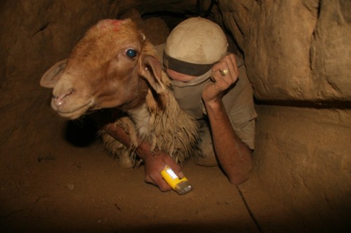 btselem_gaza_tunnel_04
