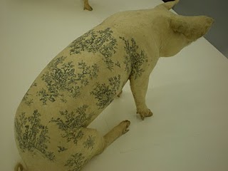 IMGP3798