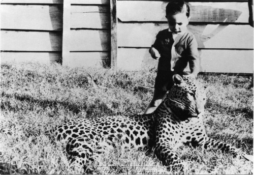 1962-Lorenzo-e-leopardo-in Ethiopia