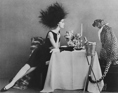 fashion,sexycat,art,direction,b,w,cat,fashion,phtography-01b89aeed38d76a206f541d10b4d7fa1_h fashion,sexycat,art,direction,b,w,cat,fashion,phtography-01b89aeed38d76a206f541d10b4d7fa1_h