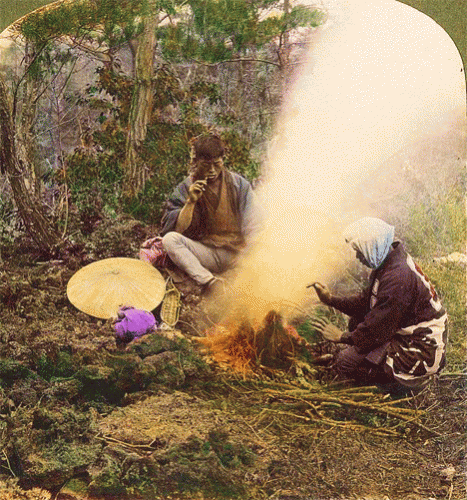 stereoview_21 stereoview_21