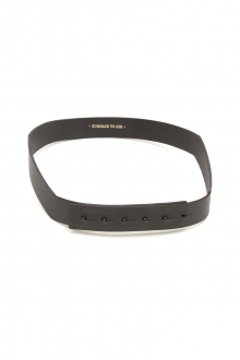 Section Belt V1